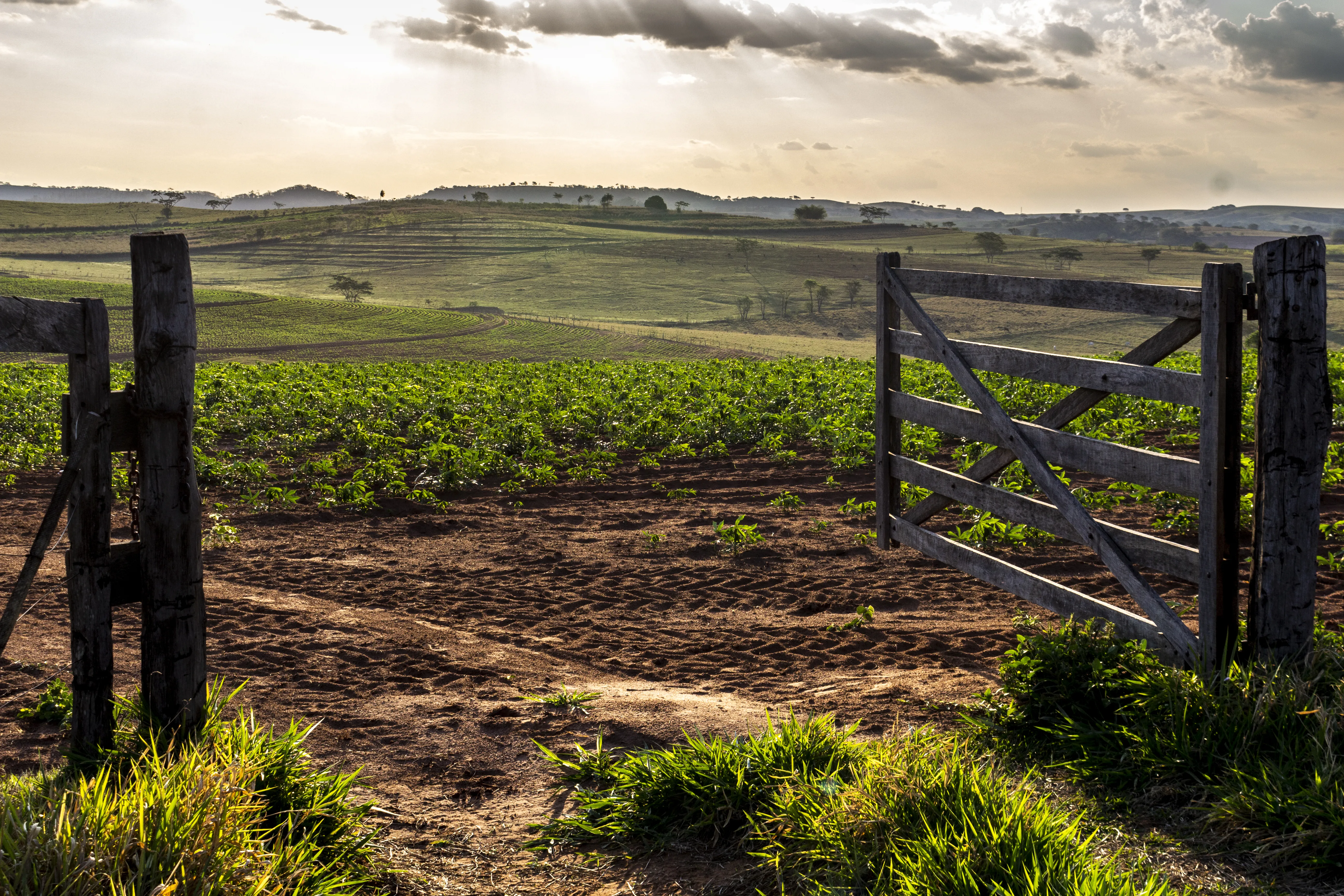 Discover the Joy of Country Living