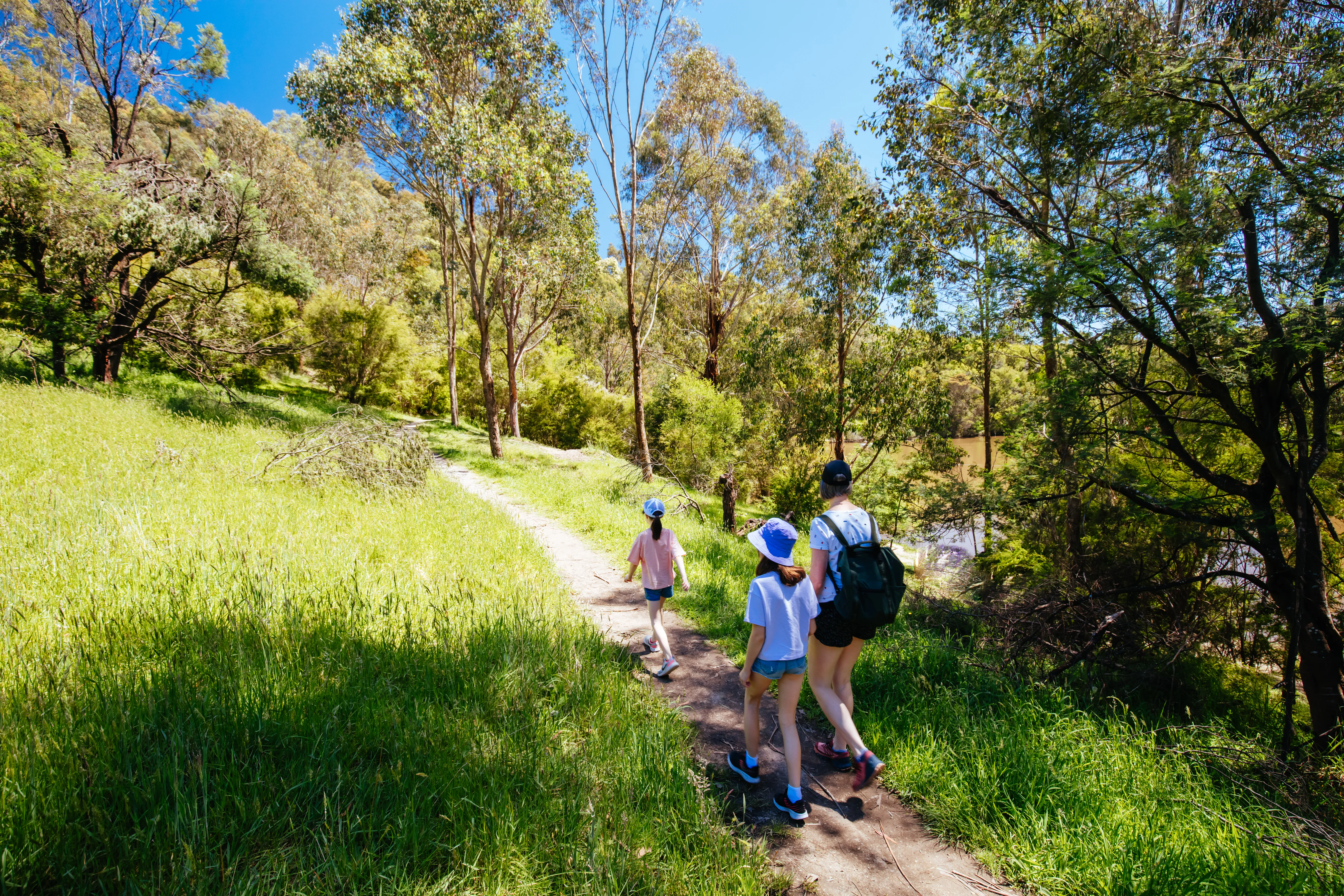 Explore Nature Bush Walking Trails